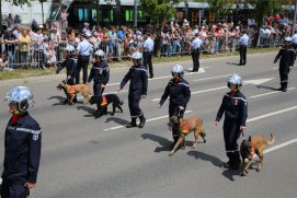 Fédération Nationale des Pompiers